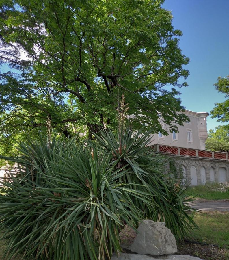 Chateau De Fabiargues Hotel Saint-Ambroix Exterior photo